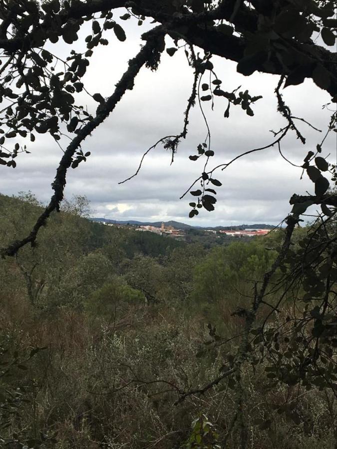 Casa Rural "Castano Bienestar" Castano de Robledo Eksteriør billede