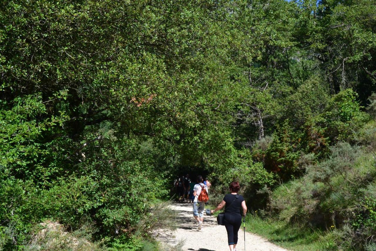 Casa Rural "Castano Bienestar" Castano de Robledo Eksteriør billede
