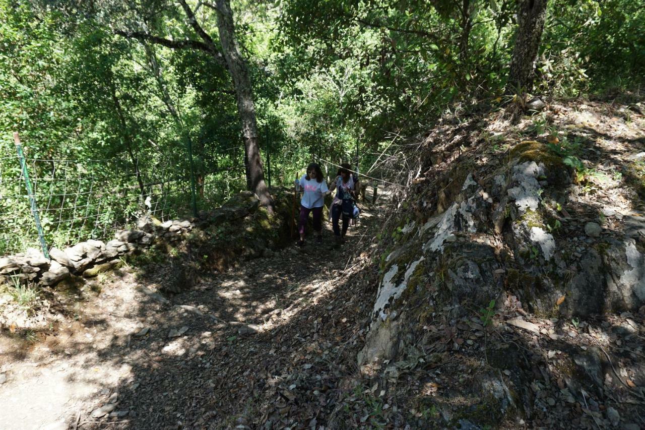 Casa Rural "Castano Bienestar" Castano de Robledo Eksteriør billede