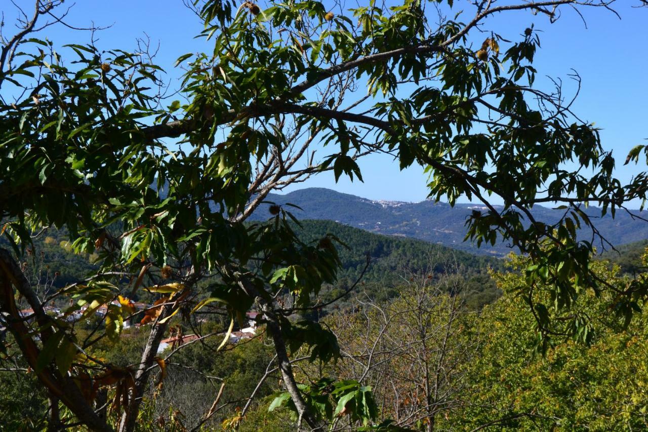 Casa Rural "Castano Bienestar" Castano de Robledo Eksteriør billede