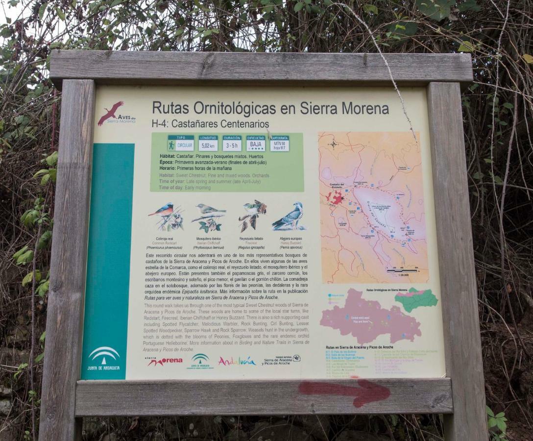 Casa Rural "Castano Bienestar" Castano de Robledo Eksteriør billede